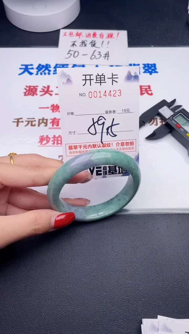 未镶嵌手镯翡翠23
