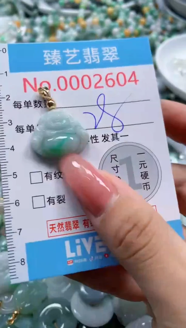 翡翠未镶嵌颈饰2604