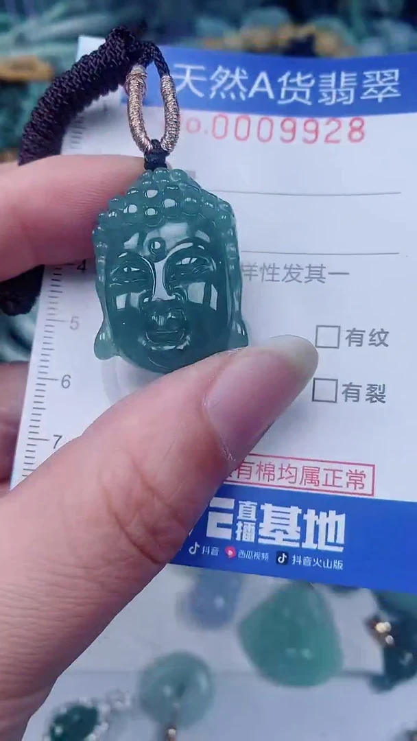 翡翠未镶嵌颈饰00009928