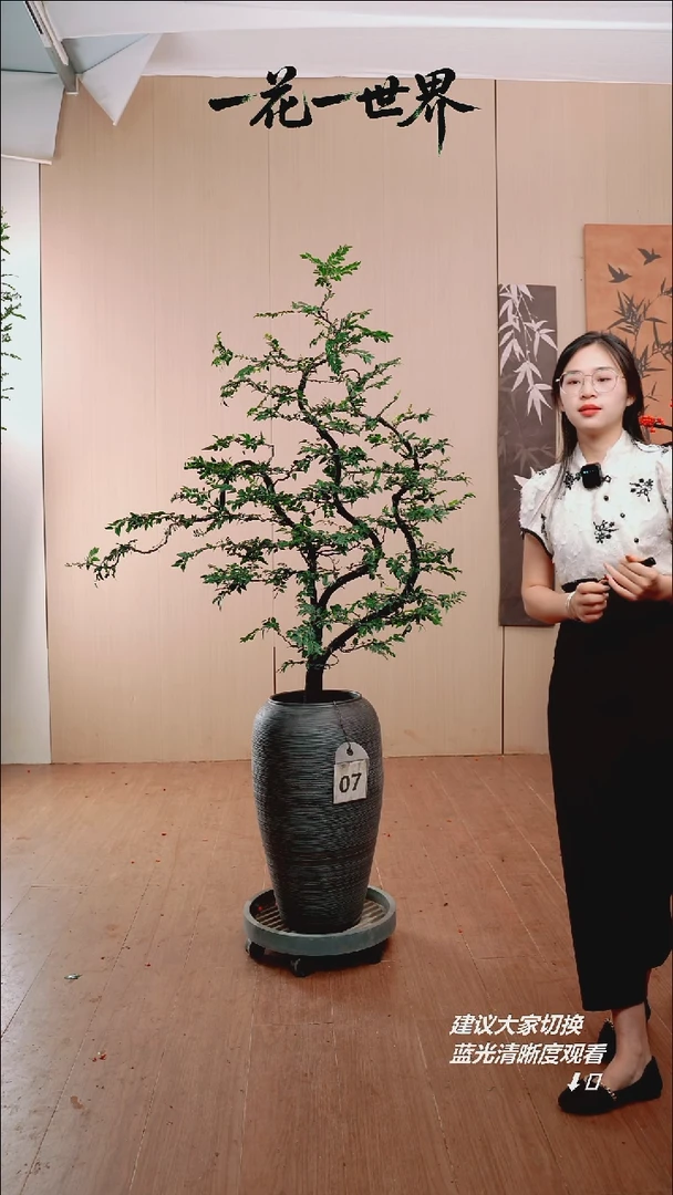 完全开放乐*07号链接