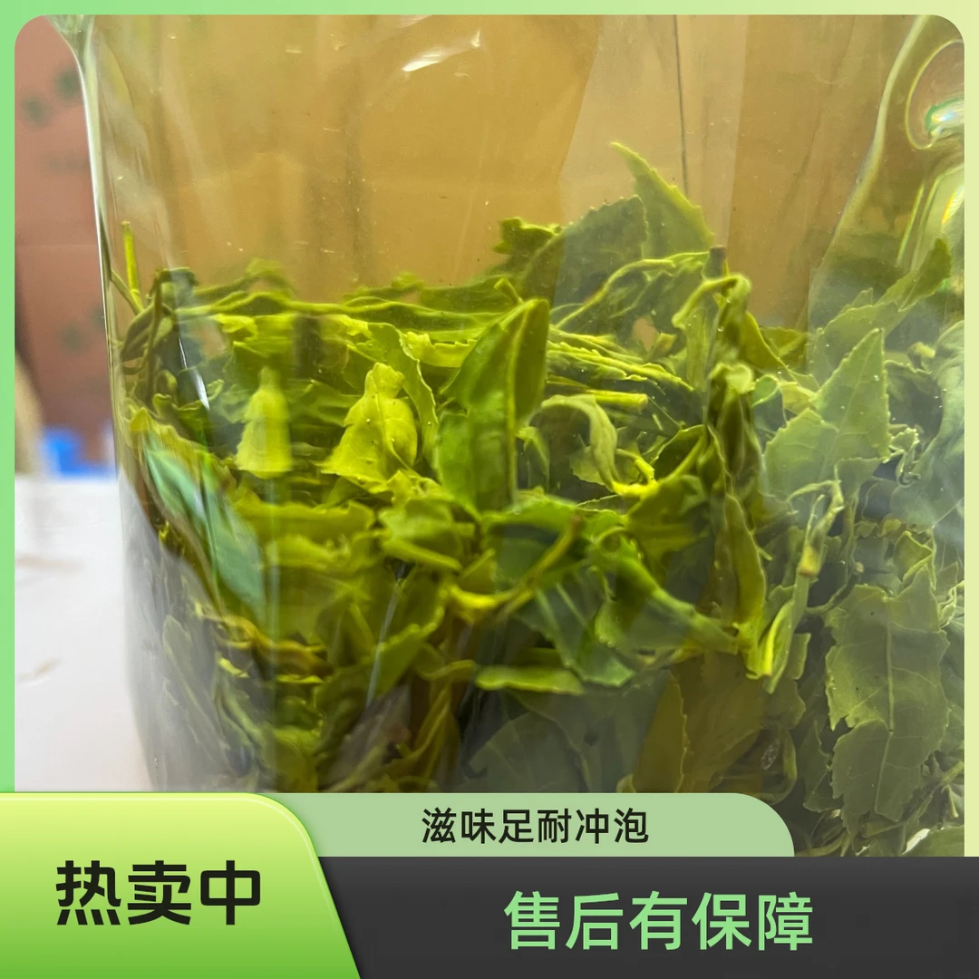 日照绿茶茶农直发所见即所得，不缺斤少两！2025年晚秋日照绿茶69款