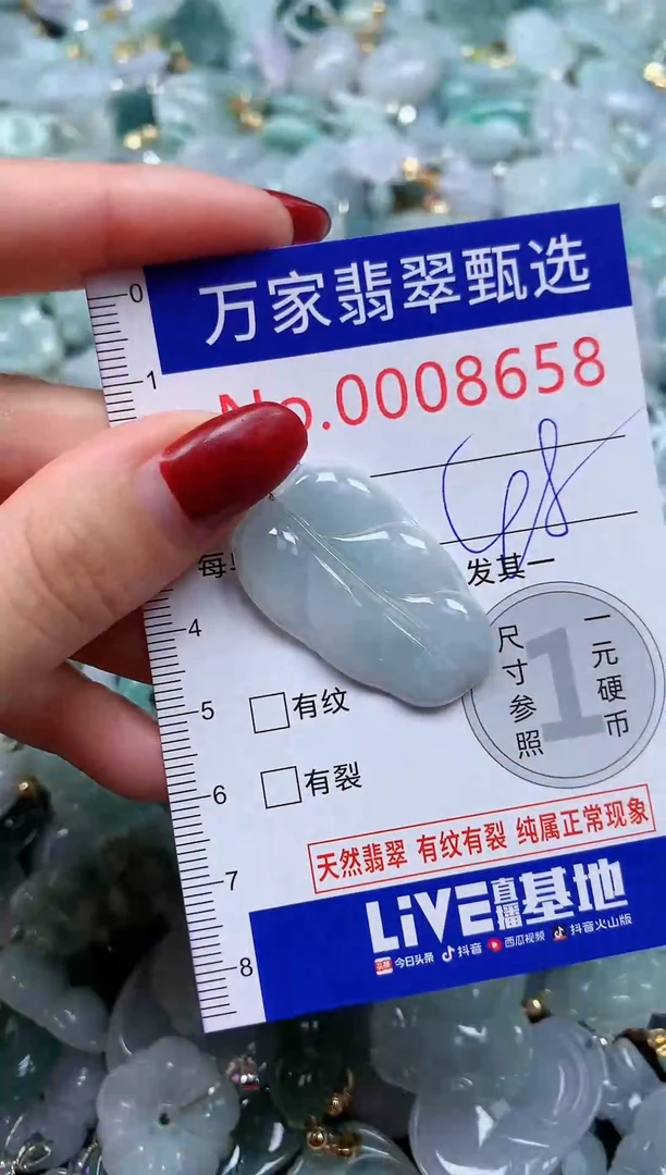 颈饰未镶嵌翡翠8658