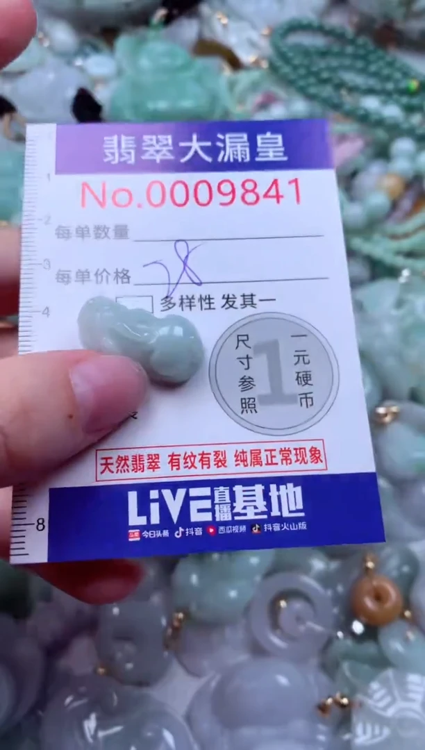 吊坠(不含链)未镶嵌翡翠9841