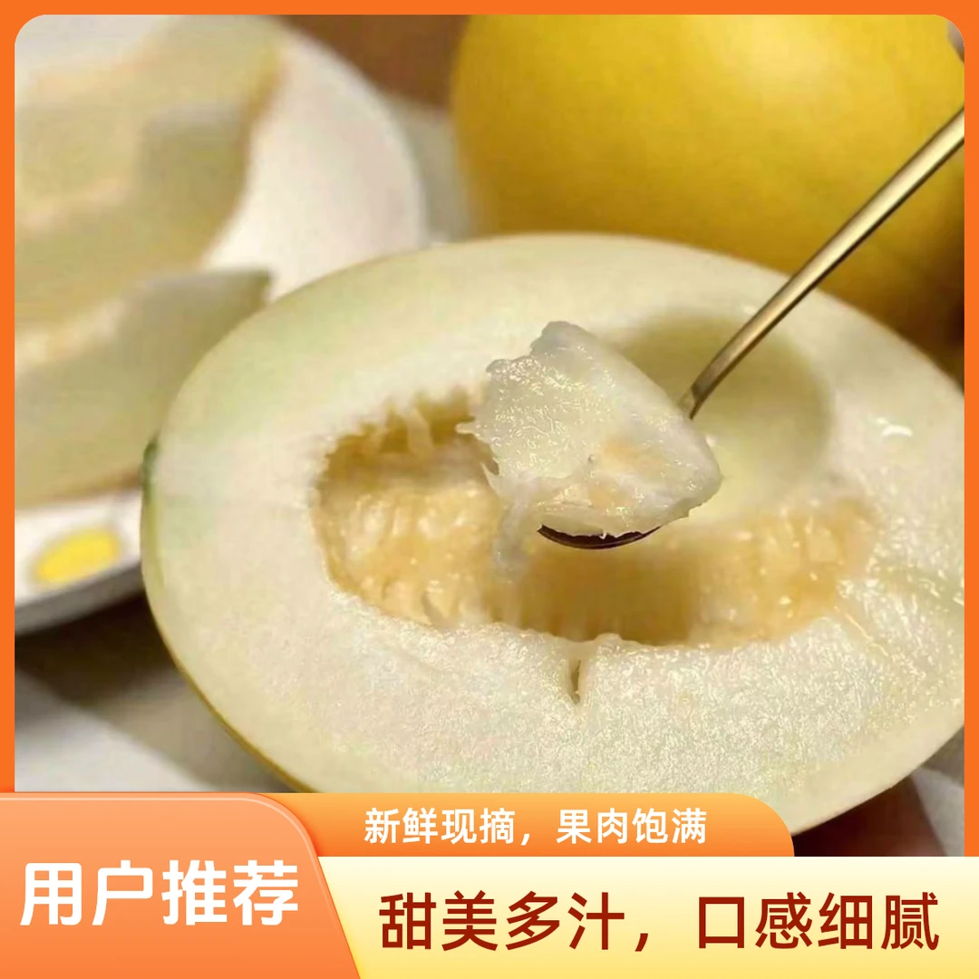 久红瑞甜小黄瓜山东省