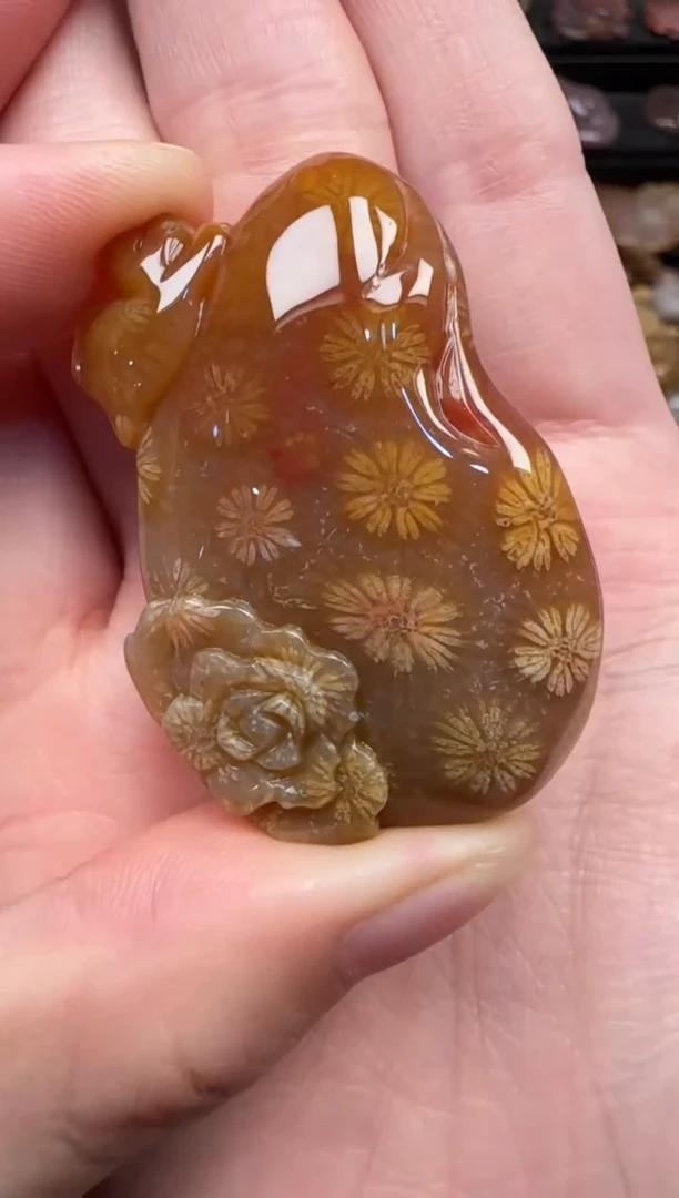 颈饰未镶嵌硅化珊瑚（珊瑚玉）798