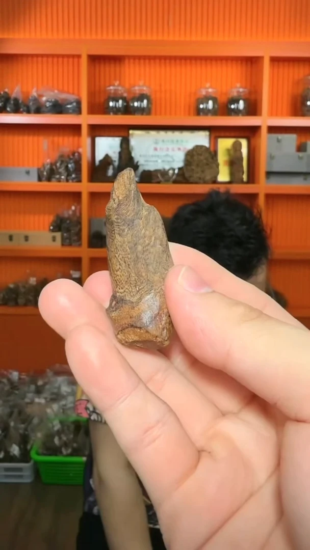 沉香吊坠499号沉水原母树小包头多样性发一