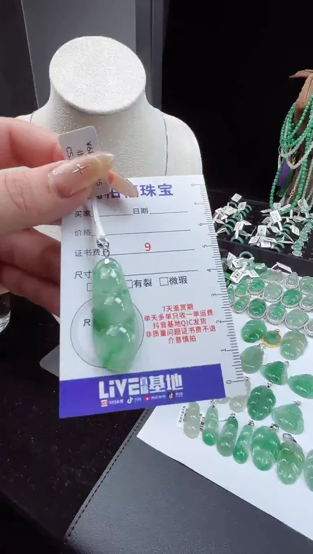 吊坠(不含链)银S925镶嵌石英质玉（非洲翠）24.46豆子