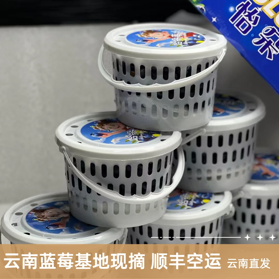 【买1桶送1桶】云南蓝莓新鲜蓝莓鲜果脆甜宝宝辅食1.8斤 顺丰空运