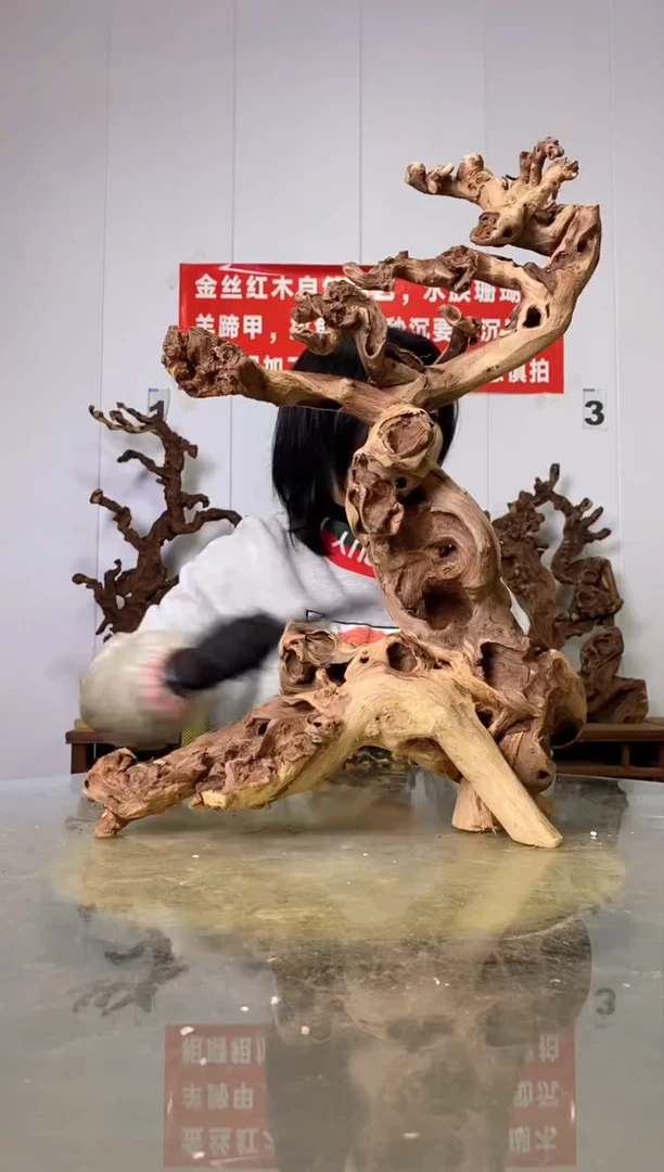 【闪购商品】木85金丝红木 羊蹄甲