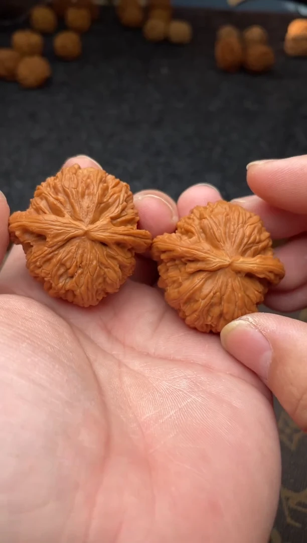 把件文玩核桃B  81号  42 尺白狮子