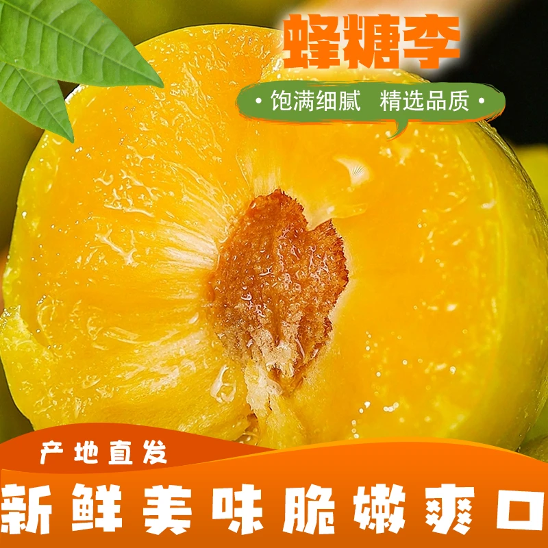 【京东物流】镇宁蜂糖李 果肉细腻饱满 健康美味 自然成熟无添加