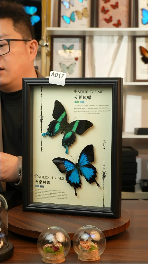 爱神凤蝶天堂凤蝶组合款(A4欧式黑框)A017