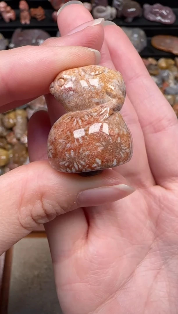 颈饰未镶嵌硅化珊瑚（珊瑚玉）333