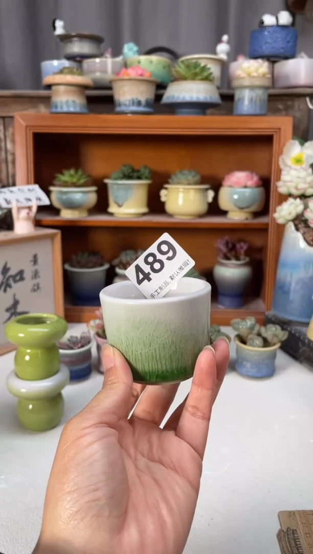 瓷片489小芳直播编号