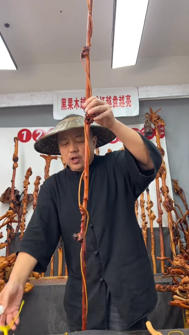 黑果木其他黑果木685