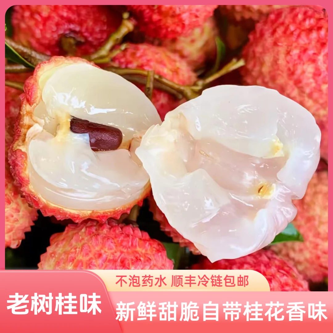 z广东茂名桂味荔枝新鲜现摘当季水果5斤顺丰冷链包邮