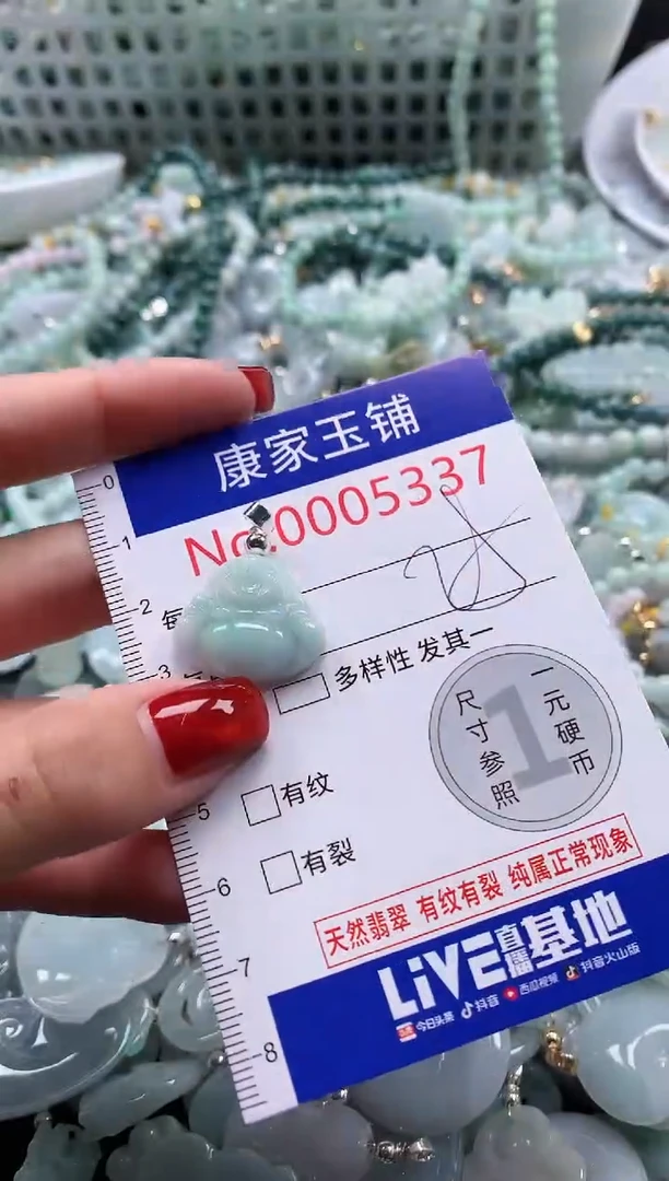 翡翠未镶嵌吊坠(不含链)5337