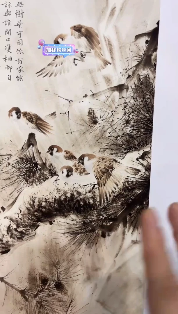 安哥精品精选链接114