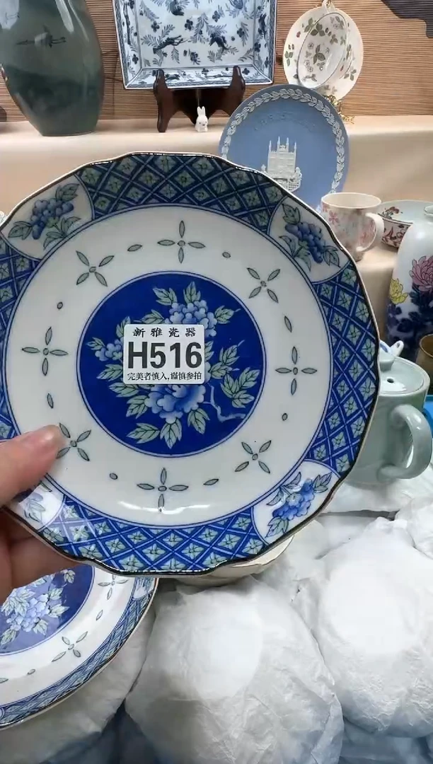 瓷片林*          H516