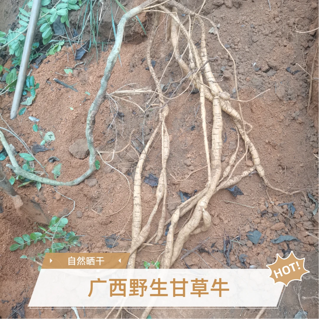 正宗野生黄金甘草牛牛大力山莲藕整条发货自然晒干煲汤泡酒无硫