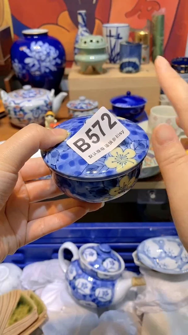 宁***B思羽甄选壹号商品B572