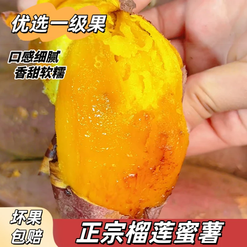 【优选一级果】正宗榴莲蜜 香甜软糯 可烤可蒸 红薯 新鲜现挖 包邮