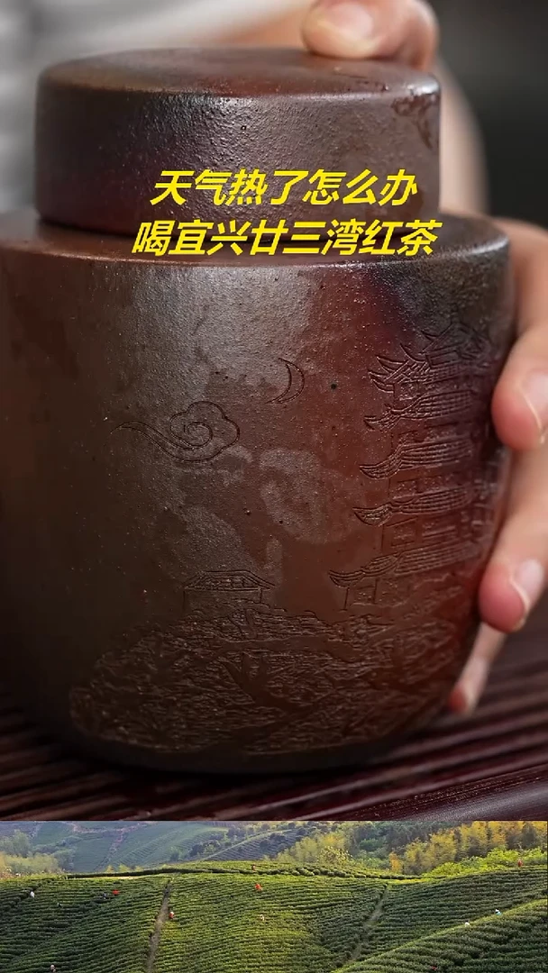 茶壶紫砂柴烧茶叶罐
