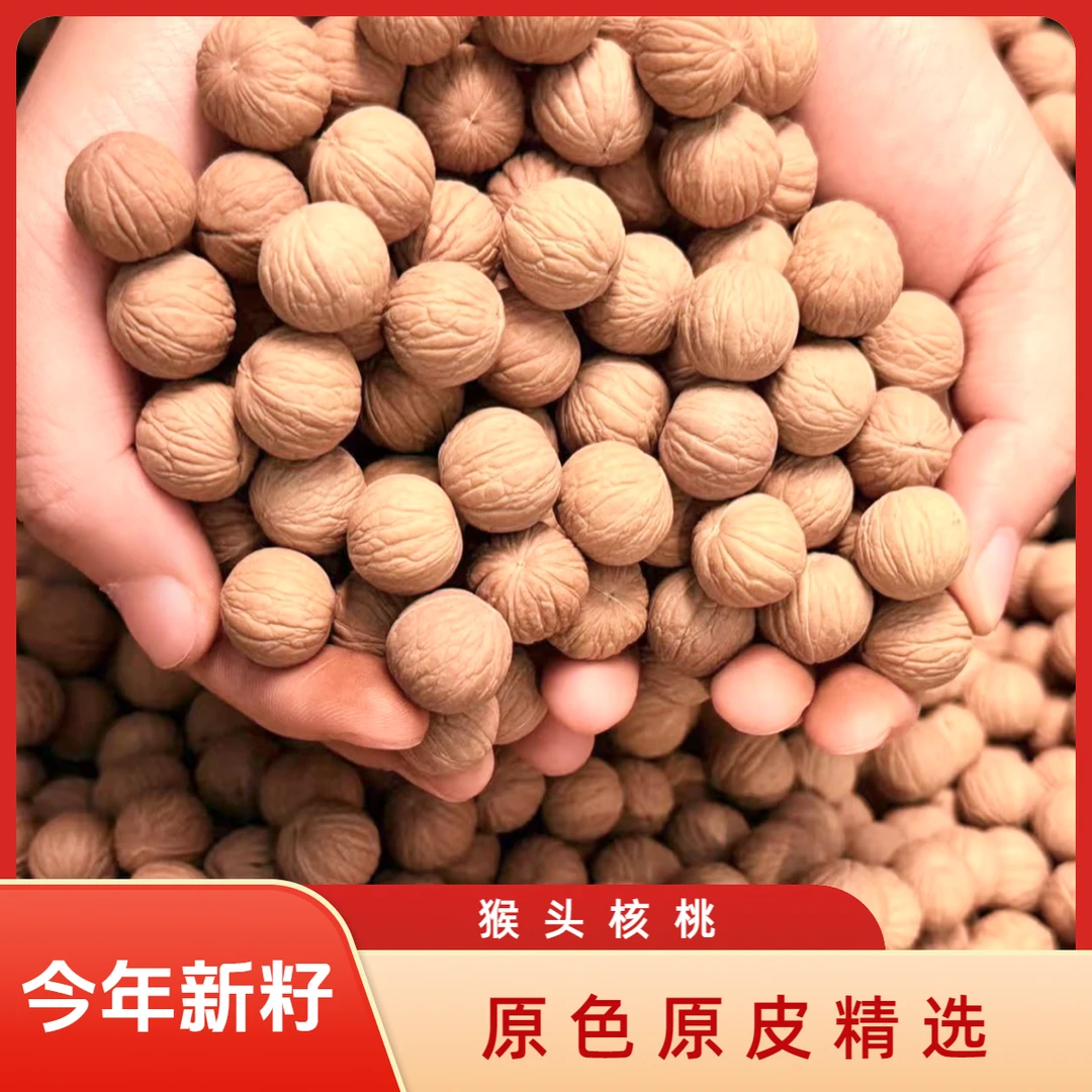 （已打孔）50颗猴头核桃凤羽自种原皮原色散籽（13+-14+mm）