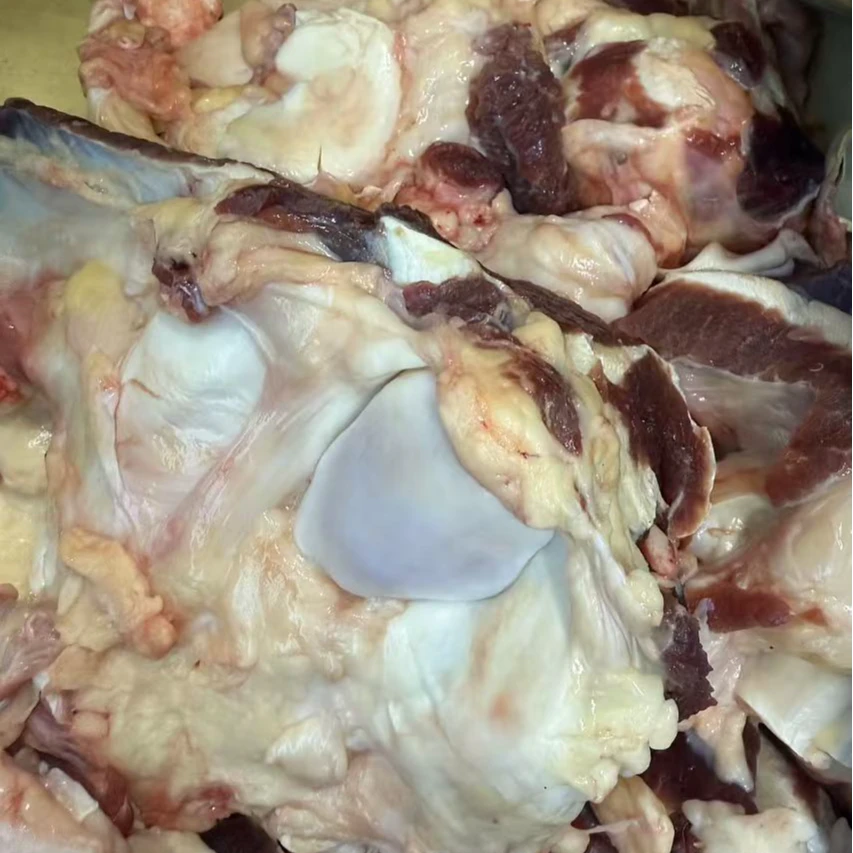 【村长专属】延边黄牛牛窝骨3斤