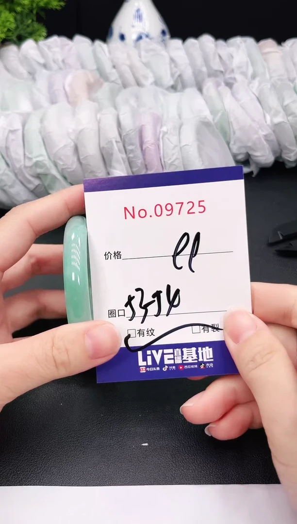 未镶嵌手镯翡翠9725
