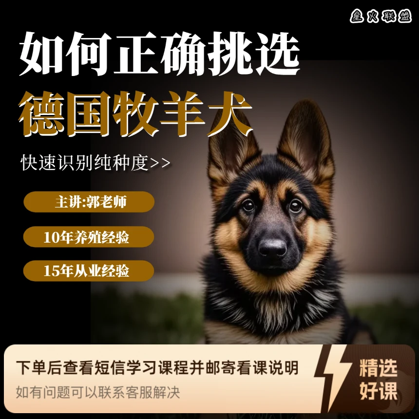 郭老师教你如何挑德牧（留意短信解锁课程）