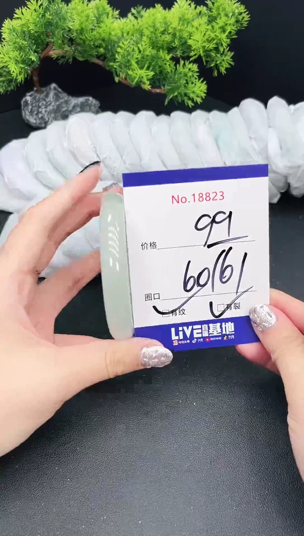 未镶嵌手镯翡翠18823