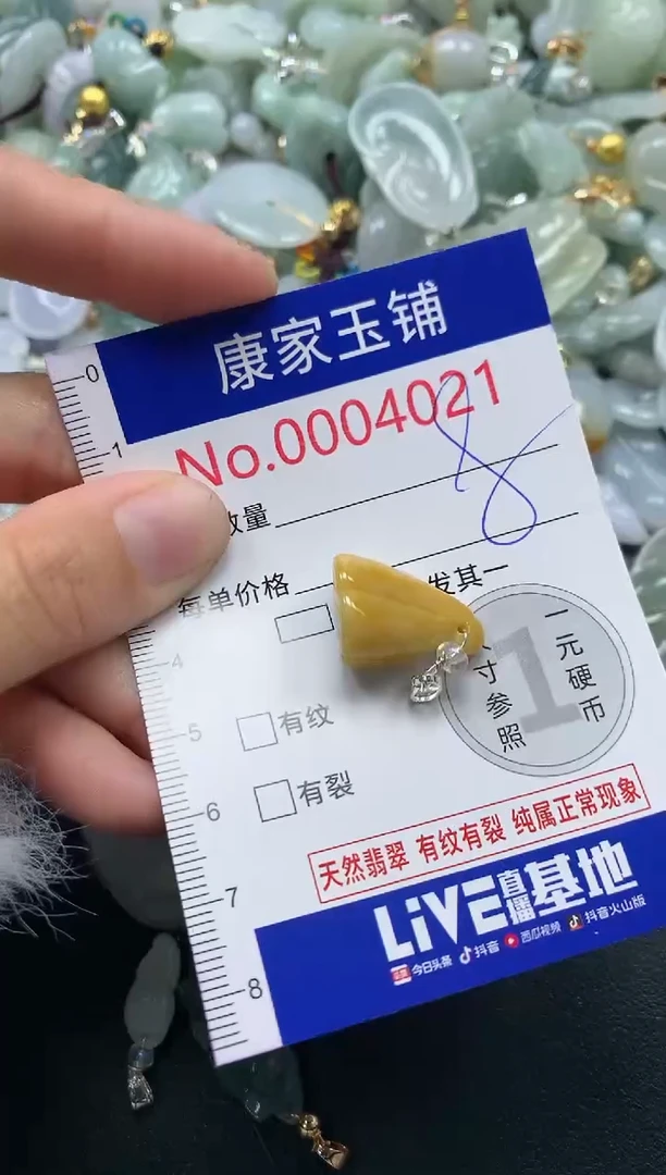 颈饰未镶嵌翡翠4021