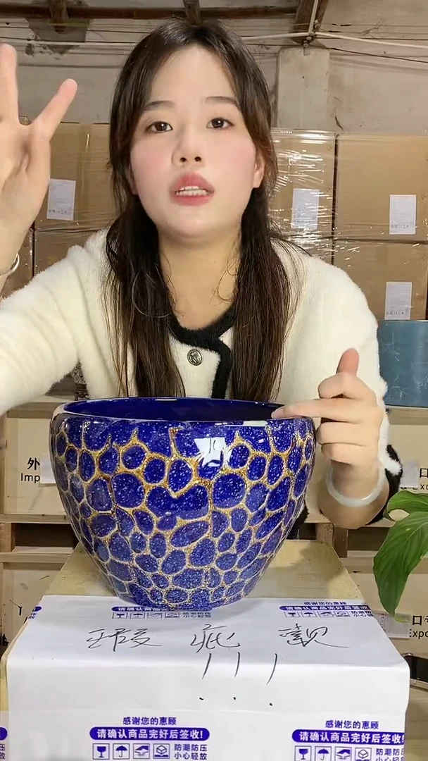 【闪购商品】陶瓷A31