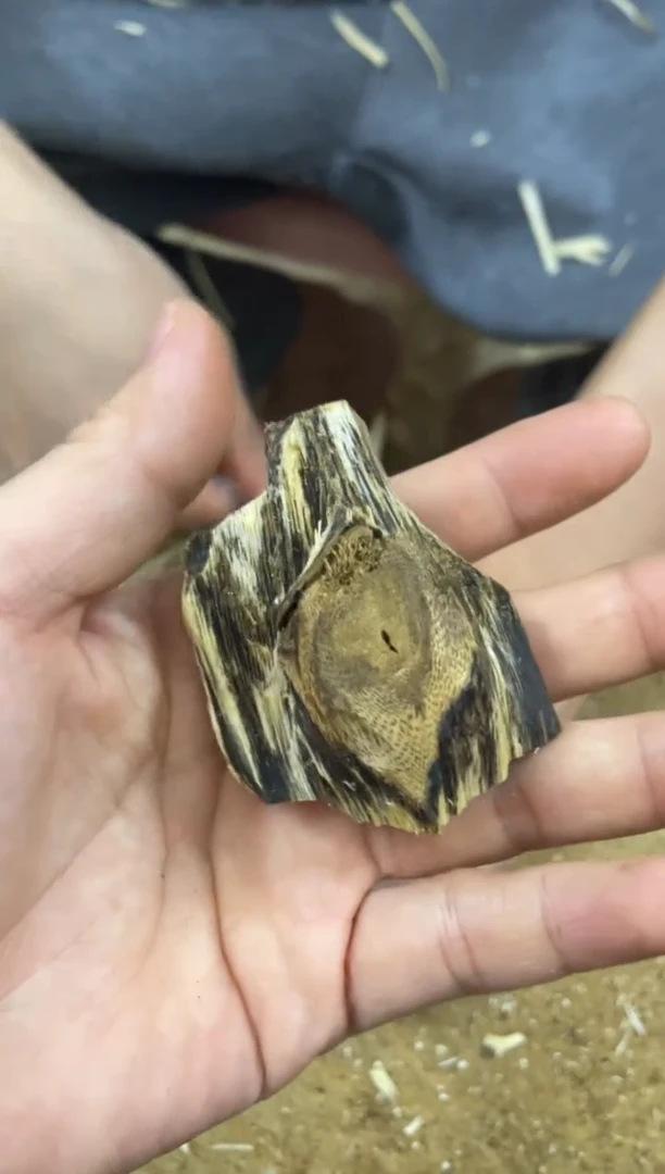 【闪购商品】沉香木沉香碎屑棋楠沉香 原料文创1