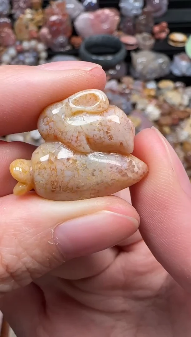 颈饰未镶嵌硅化珊瑚（珊瑚玉）264