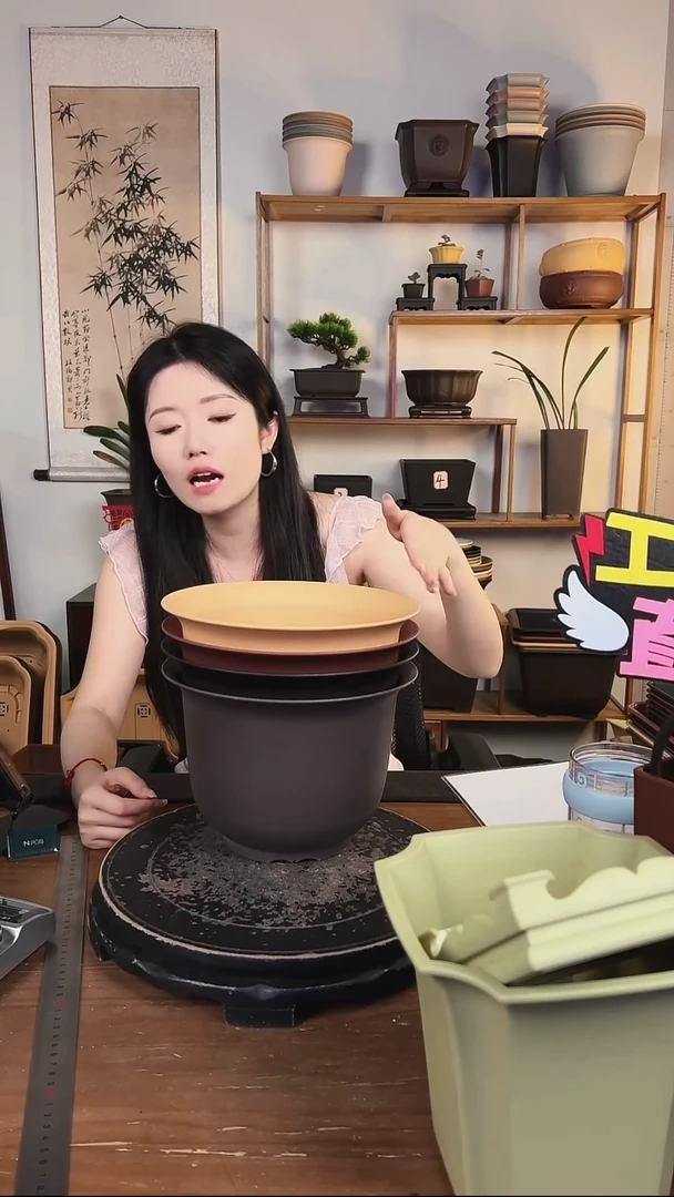 23金钟4只随机颜色