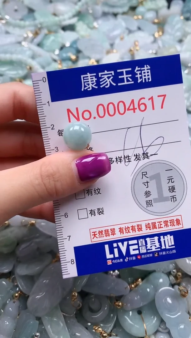 颈饰未镶嵌翡翠4617