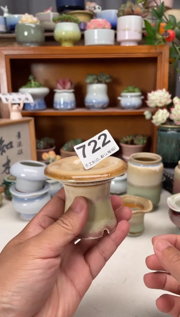 瓷片722知木花盆小芳