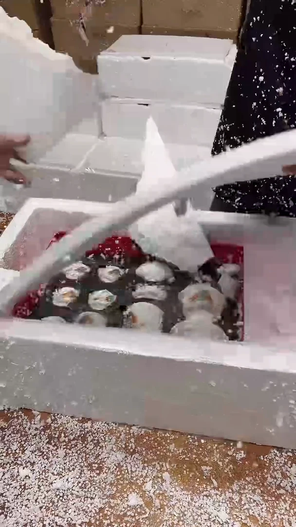 瓷片其他其他其他其他