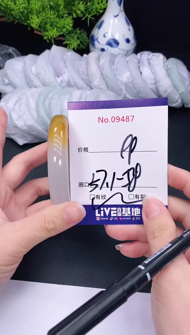 未镶嵌手镯翡翠9487