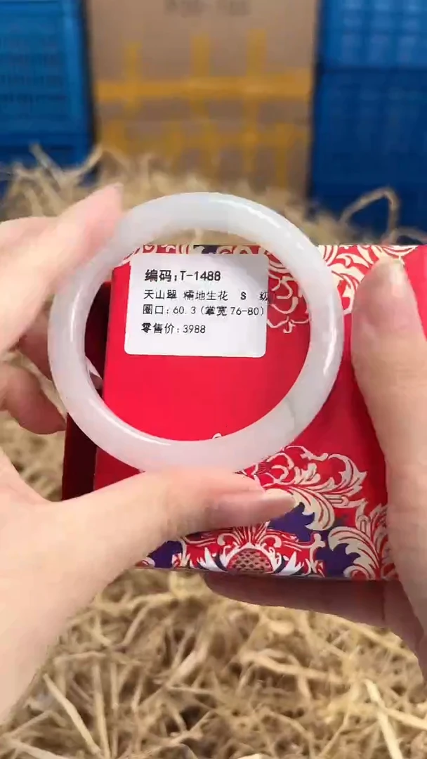 未镶嵌手镯石英质玉T-1488