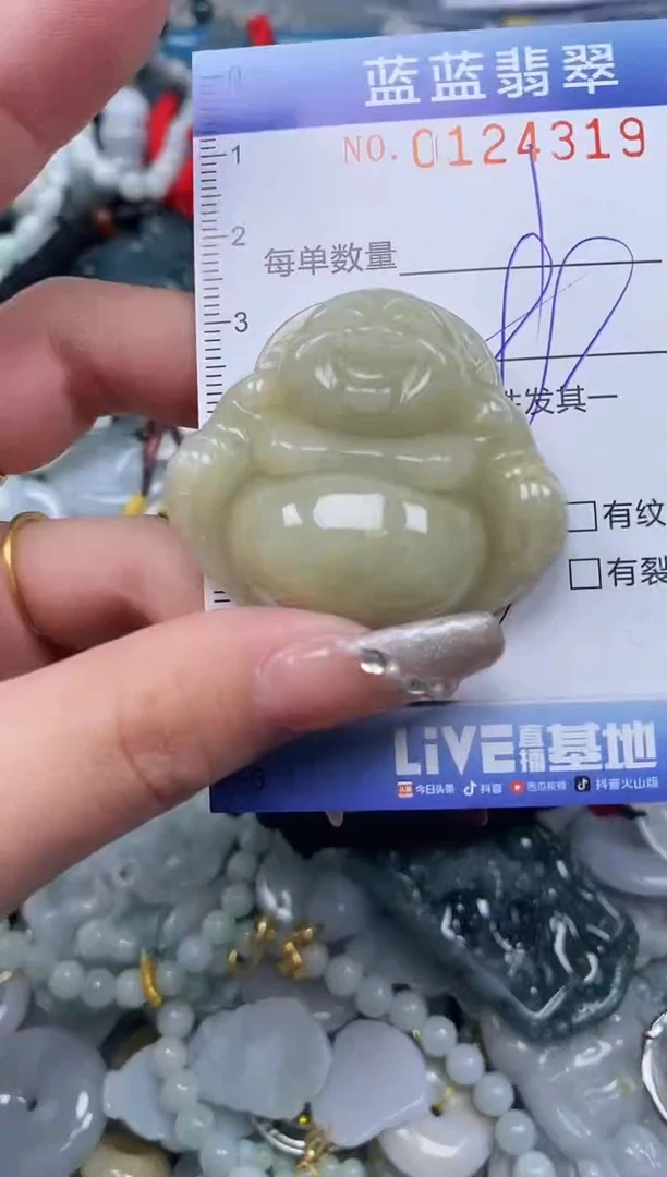 【闪购商品】翡翠颈饰未镶嵌闪购0124319多样性发其一