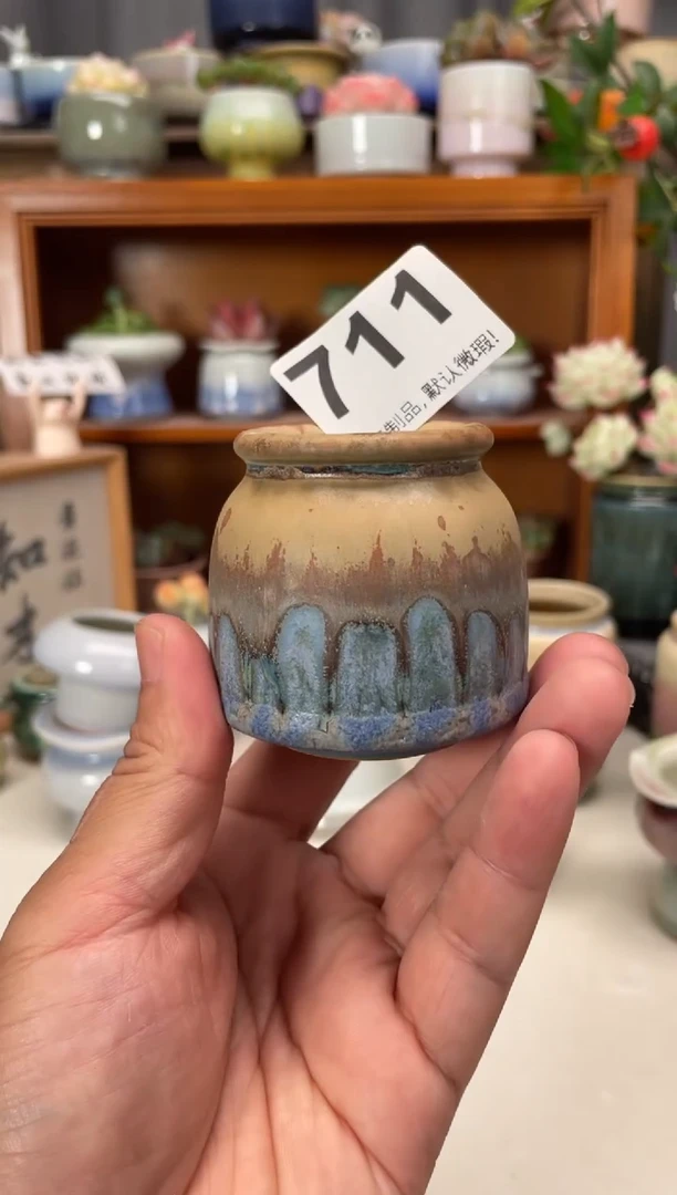 瓷片711知木花盆小芳
