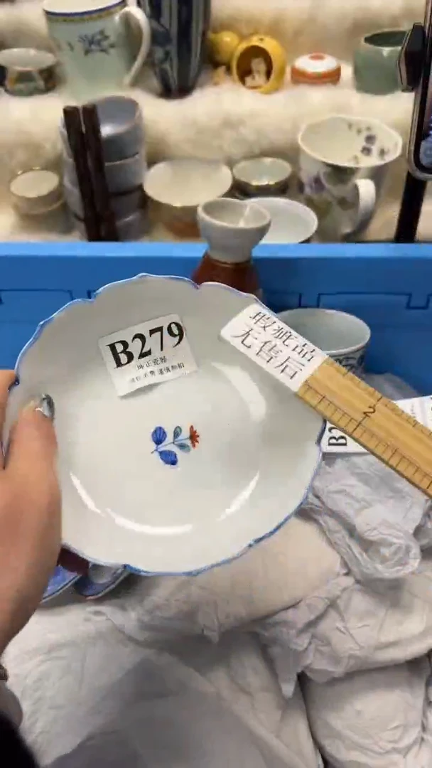 【闪购商品】瓷片          B279