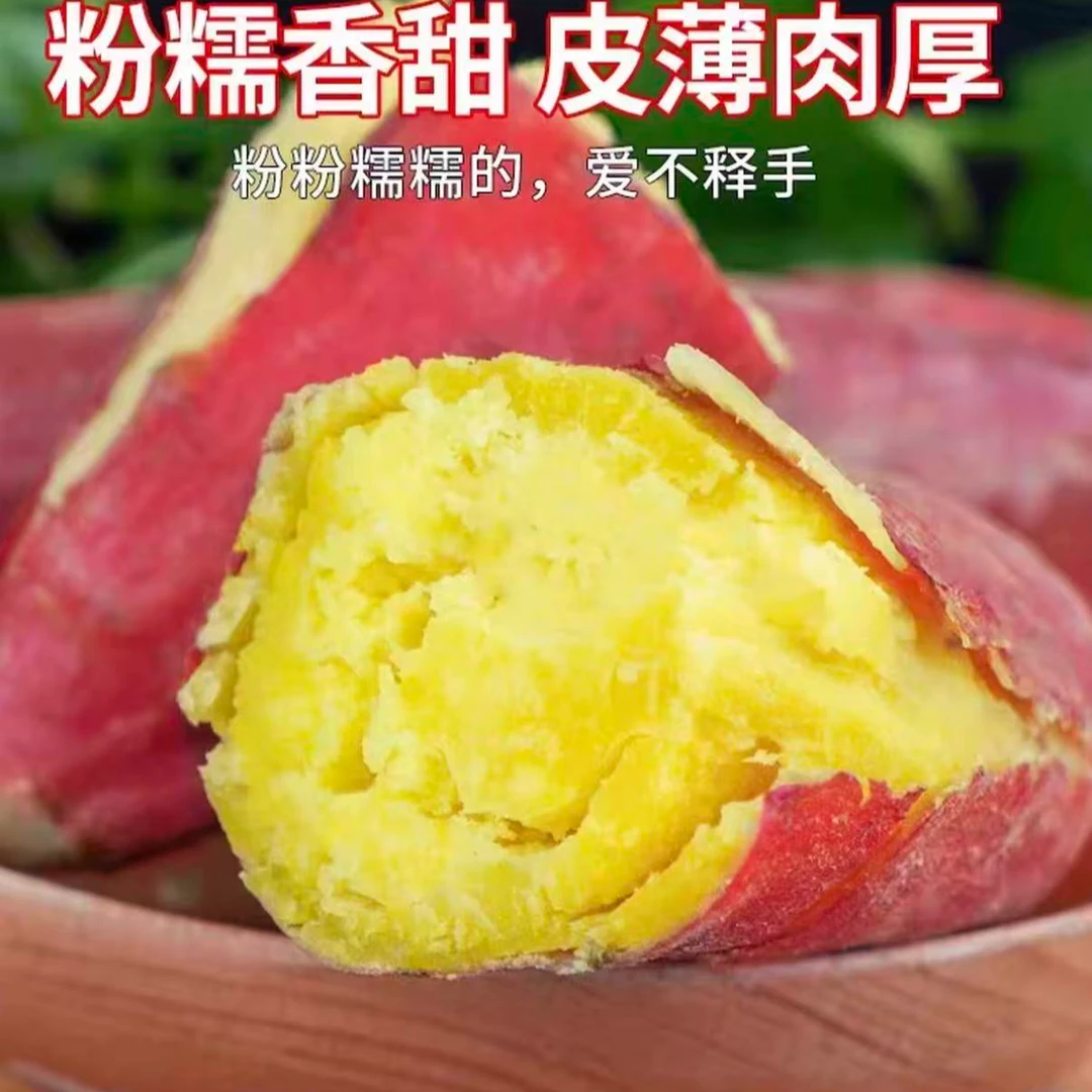 沙地现挖吉林蛟河白石山老品种白心地瓜软糯香甜
