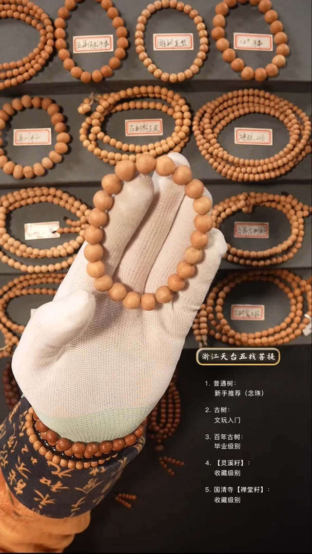 【闪购商品】五线菩提吊坠原皮手串