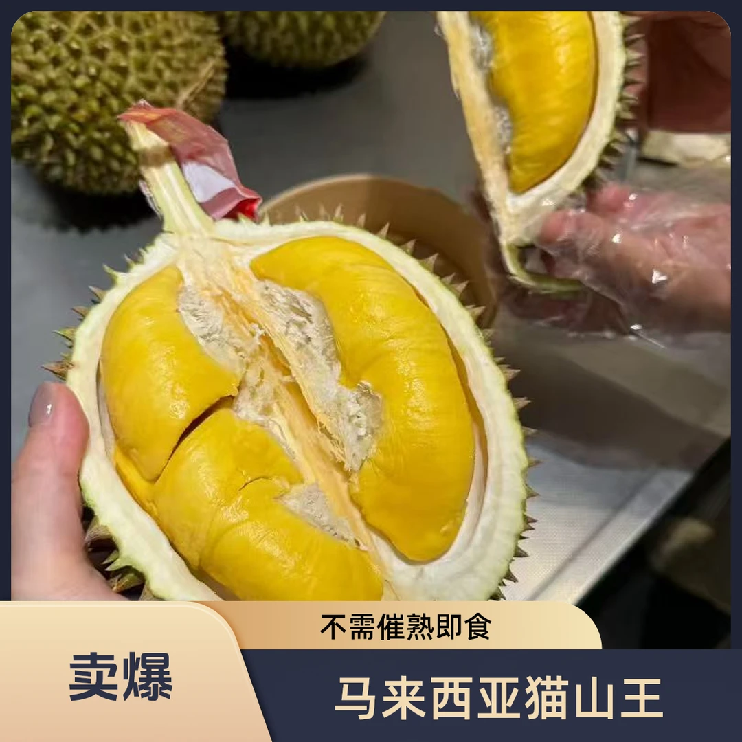地出臻鲜树熟猫山王榴莲空降海南自贸港鲜果带壳新鲜榴莲