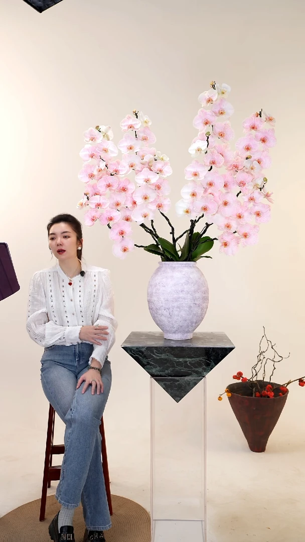 全部花朵009一物一拍蝴蝶兰盆景