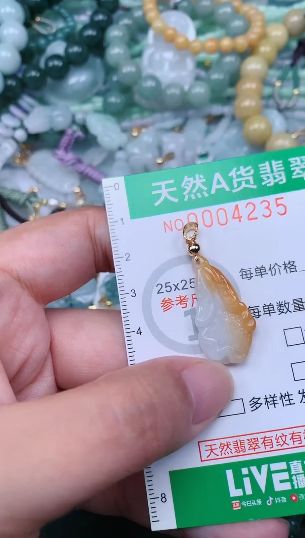 翡翠未镶嵌颈饰.0004235